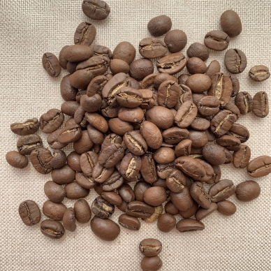 Kavos pupelės "Nicaragua shg Talia AAA"